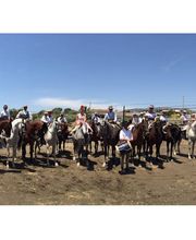 Escuela Hípica los Nogales imagen 4