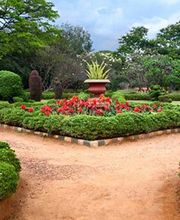 Amis des Jardins image 2