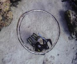 Jaguar Divers - Dive Shop in Playa del Carmen imagen 6