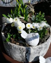 Blumen Bijou GmbH Bild 9