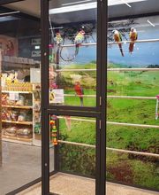 Animalis Plan de Campagne image 5