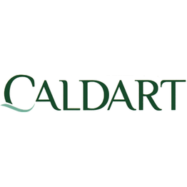 Onoranze Funebri Caldart logo