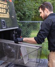 Varment Guard Wildlife Services image 2