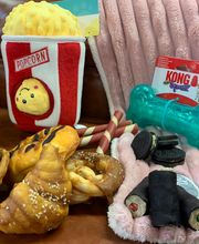 Animotopia Puppy Saint Pol de Leon image 6