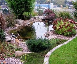 M. Murer Gartenbau GmbH Bild 11