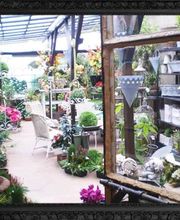 Delaveau Eric-pierre image 9