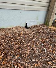 Critter Control image 11