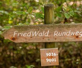 FriedWald Meßkirch Bild 8