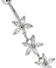 Modern Nature Piercingschmuck / Seeland & Eschbach GbR Bild 2