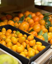 Biocoop La Fringale Coopérative Nymphéa image 4