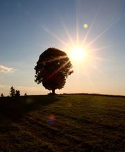 Daniel Lochbrunner Bestattungen & Thanatologie Bild 8