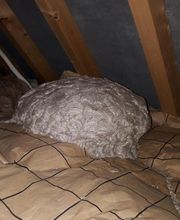 Lefevre Sébastien E.I image 13