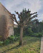 Le jardin de Paul image 5