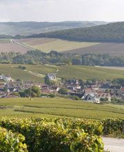 Champagne Treuffet Père Et Fils image 4