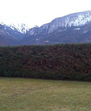 FLORESCENCE image 12