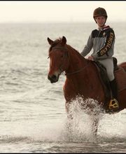 MAS DE L'ESPIGUETTE image 2