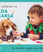 montepio-de-conductores-vida-diaria-1.jpg