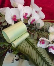 Blumen Hetzer Bild 5