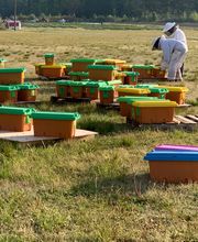 Ncvabeenucs.com image 9