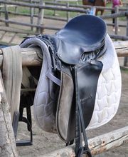 Pension Reiterhof Kurze Bild 2