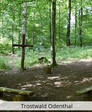 König Bestattungen Bild 19