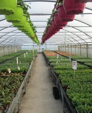 Du Potager Fleuri GAEC image 3