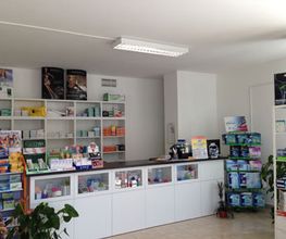 Gallery Cliente
