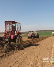 Baum- und Rosenschule Müller Bild 9