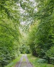 FriedWald Lauterbach Bild 2