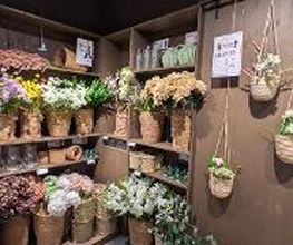 Søstrene Grene Bild 20