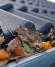 J.O. Nielsen billede 1