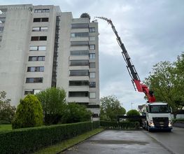 Baumann Kran AG Bild 6