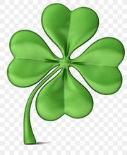 Silmi Imène image 2