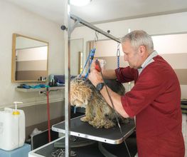 Profil Canin image 13
