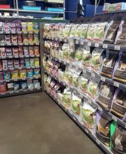 Animalis Bergerac image 7