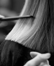 Mauri Concept Bild 5