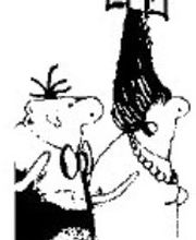 Coiffeur Monika Bild 5