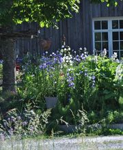 Biogärtnerei & Naturgärten Neubauer Bild 1