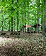 FriedWald Kisdorf Bild 6