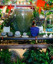 Dig It Gardens image 10