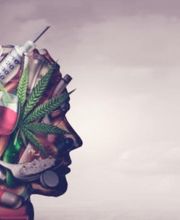 Vilerio Elodie image 4