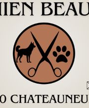 Chien Beauté image 2