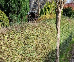 Erdwerk Bild 4
