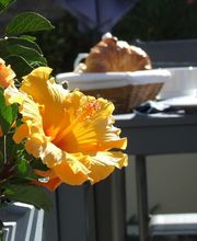 Hôtel de la Poste image 5