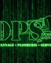 Dps Pro image 2