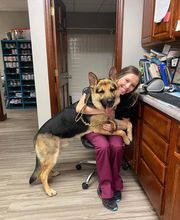 Country Hills Veterinary Hospital: Greene Mark DVM image 11