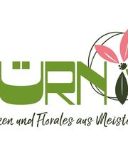 Blumen Zürn eGbR Bild 4