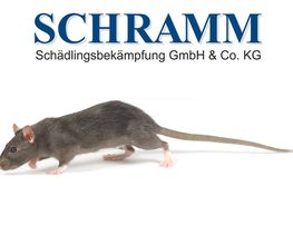Schramm Schädlingsbekämpfung u. Desinfektion Bild 1