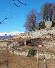 IN SITU SCP imagen 7