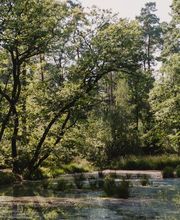 Der FriedWald Bremer Schweiz ist ein idyllischer Ort des Erinnerns und Gedenkens.